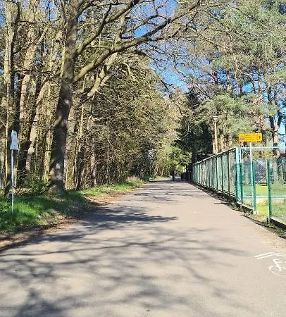 Plazowa Отель типа 