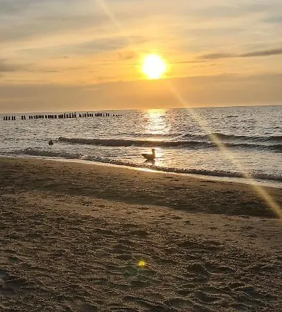 Plazowa Отель типа 